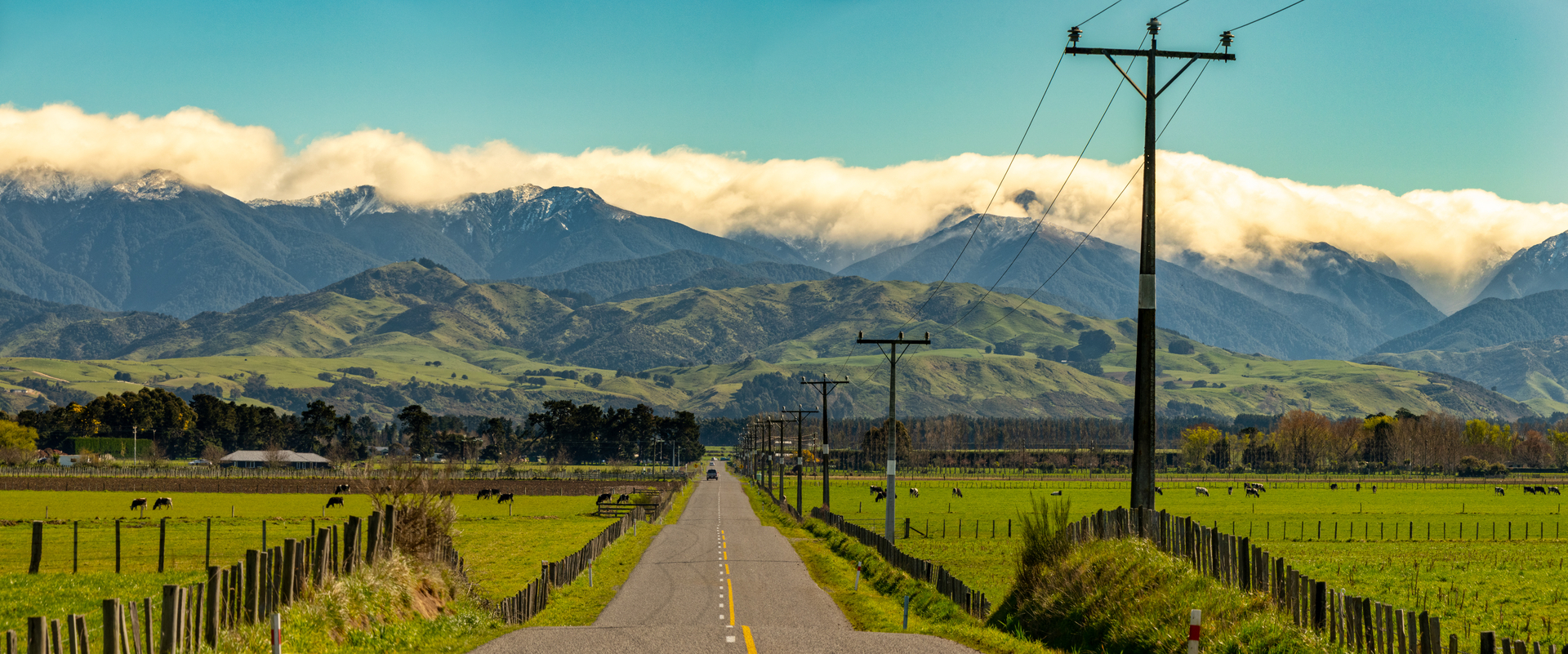 Contact Wairarapa